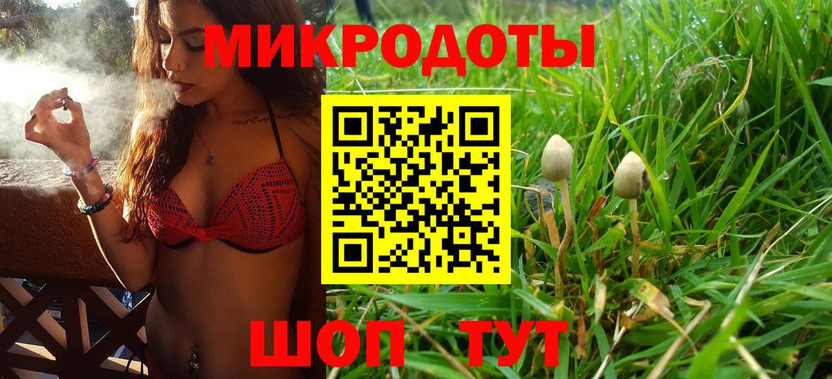 Галлюциногенные грибы Psilocybine cubensis Верхний Уфалей